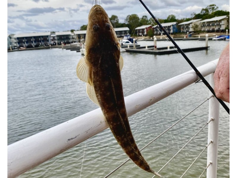 4602 MARINA Lodge Couran Cove, South Stradbroke QLD 4216