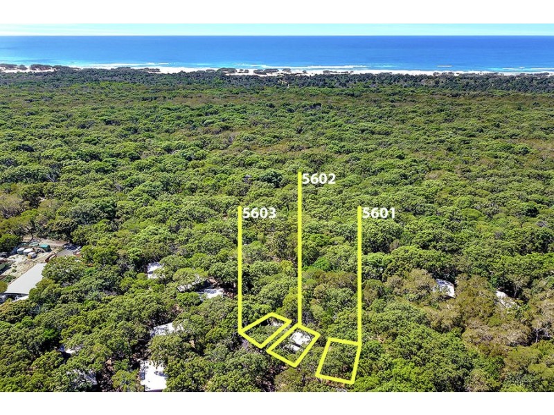 5601 Eco Cabin Couran Cove Resort, South Stradbroke QLD 4216