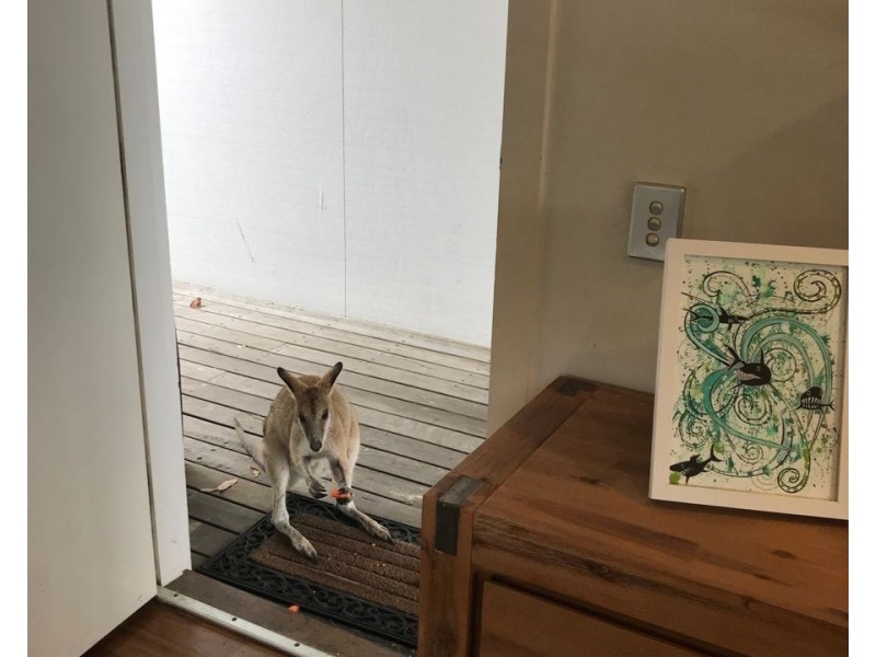 BEACH LODGE Island Street, Couran Cove Resort, South Stradbroke QLD 4216