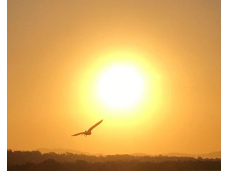 BEACH LODGE Island Street, Couran Cove Resort, South Stradbroke QLD 4216