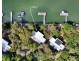 Villa 2 Couran Cove Resort, South Stradbroke QLD 4216