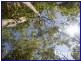 21A Rawle Street, Camira QLD 4300