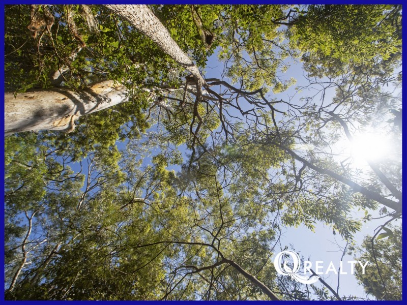 21A Rawle Street, Camira QLD 4300