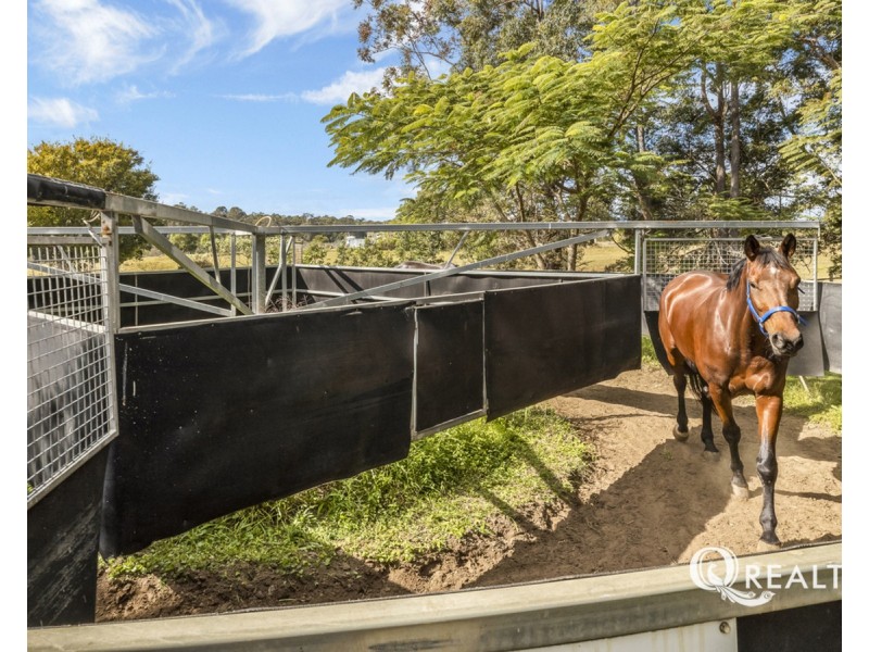 46 Josephfina Court, Logan Reserve QLD 4133