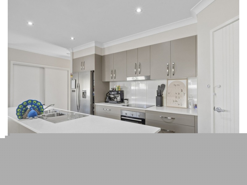 53 Malachite Drive, Logan Reserve QLD 4133