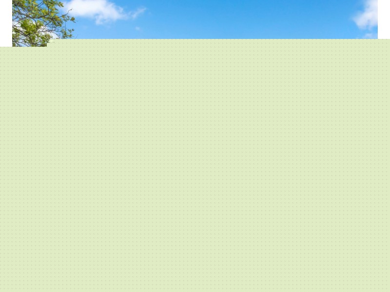 987 Beenleigh Road, Runcorn QLD 4113