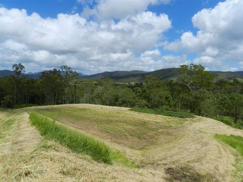 98 Lawrie Road, Sarina Range QLD 4737