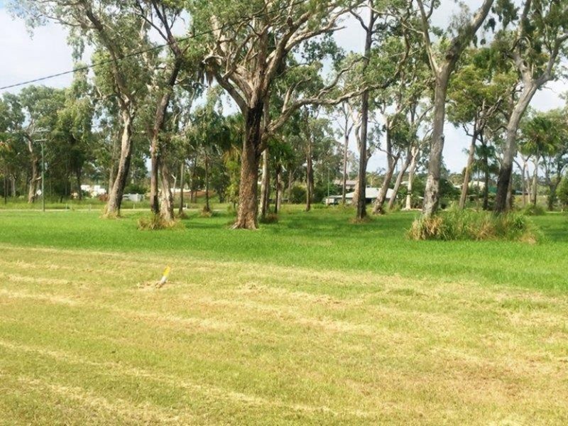 14 Coral Reef Court, Armstrong Beach QLD 4737