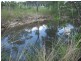87401 Bruce Highway, Ilbilbie QLD 4738