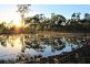 524 St Lawrence Connection Road, St Lawrence QLD 4707