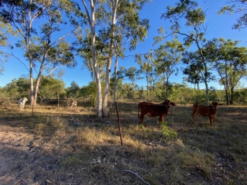 524 St Lawrence Connection Road, St Lawrence QLD 4707
