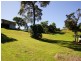 14 Cilla Hill Court, Sarina Beach QLD 4737