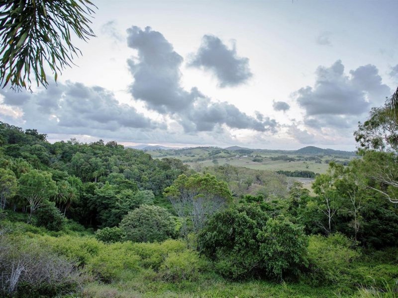 59 Wright Road, Grasstree Beach QLD 4740