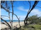 53 Brooksfield Drive, Sarina Beach QLD 4737