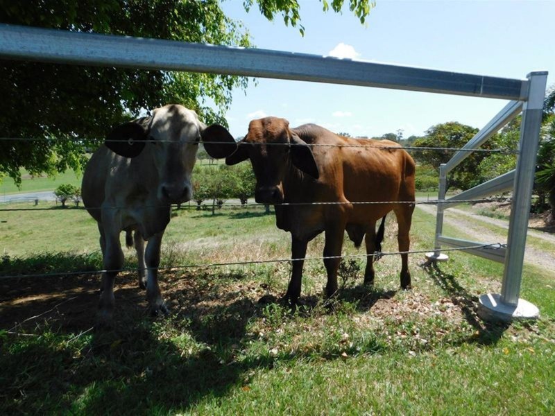 8 Mifsud Drive, Sarina Beach QLD 4737