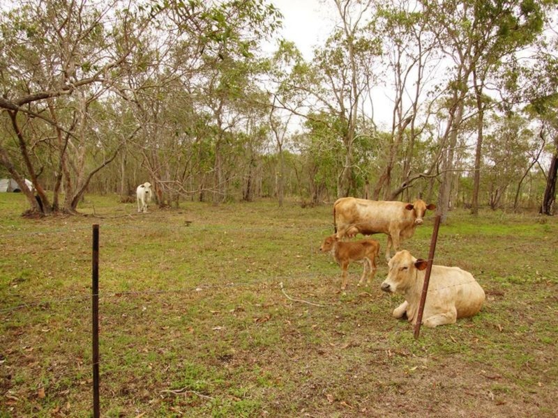 174 Ilbilbie Road, Ilbilbie QLD 4738