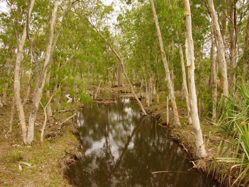 174 Ilbilbie Road, Ilbilbie QLD 4738