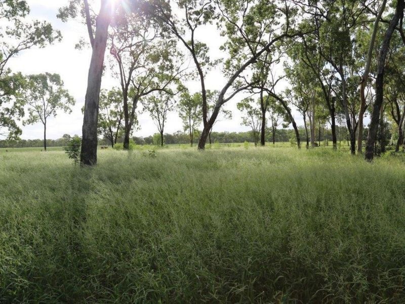 480 Airstrip Road, Nebo QLD 4742