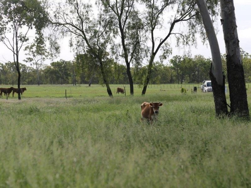 480 Airstrip Road, Nebo QLD 4742