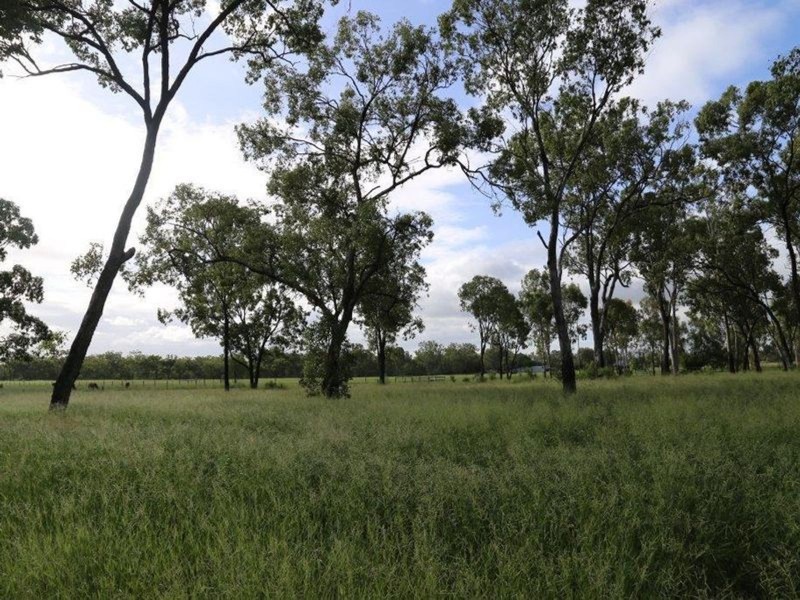 480 Airstrip Road, Nebo QLD 4742
