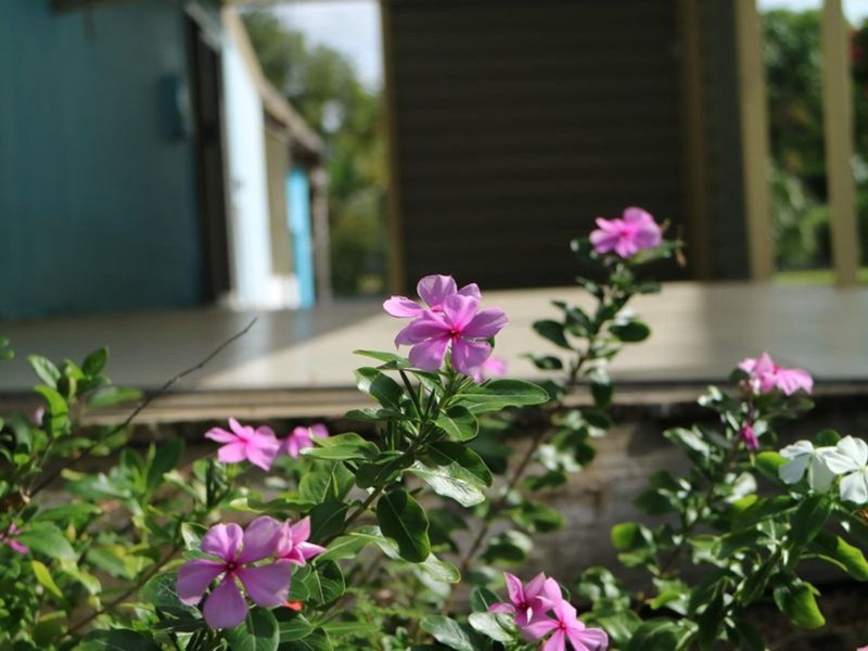 17 Coral Drive, Blacks Beach QLD 4740