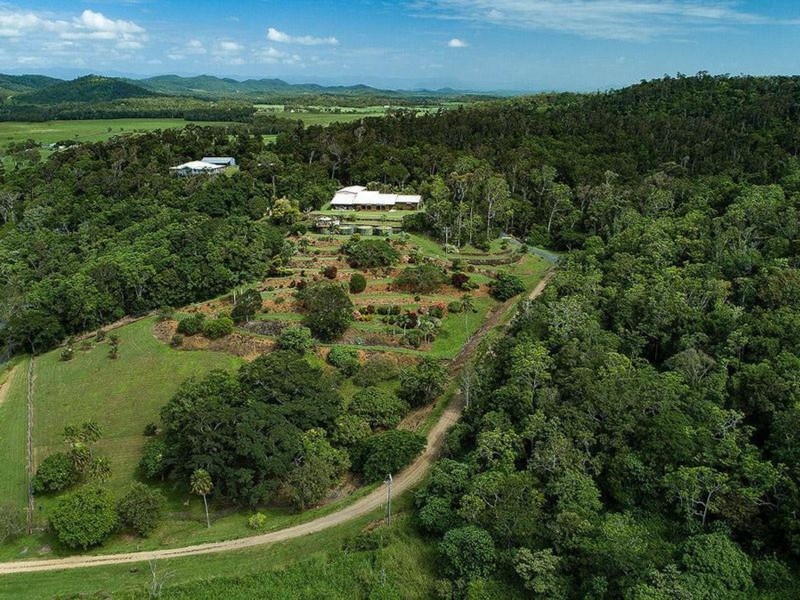 55 Dunwoody Road, Ball Bay QLD 4741