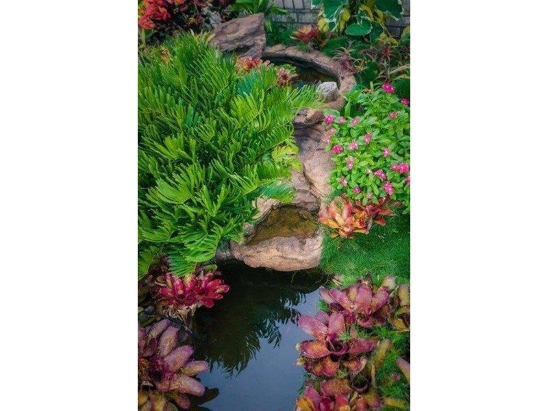 51 Marine Parade, Bucasia QLD 4750