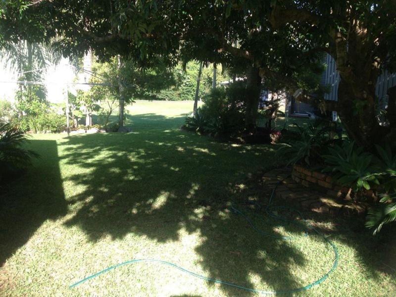 51 Palm Avenue, Seaforth QLD 4741
