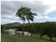 176 Middle Creek Road, Sarina QLD 4737