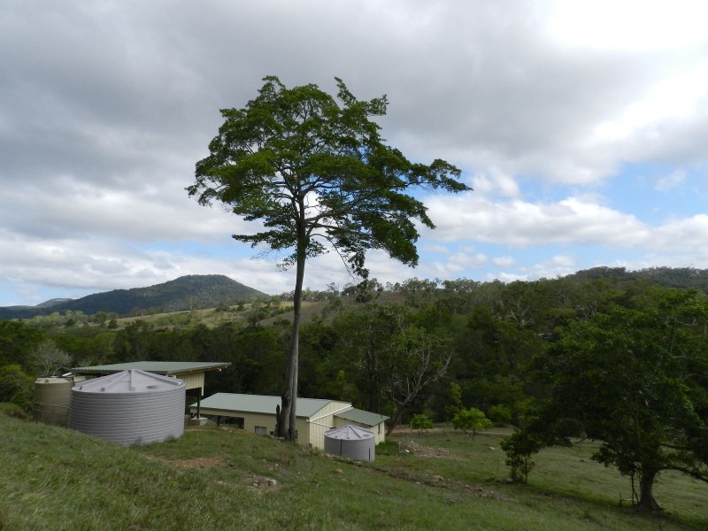 176 Middle Creek Road, Sarina QLD 4737
