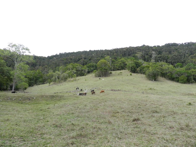 176 Middle Creek Road, Sarina QLD 4737