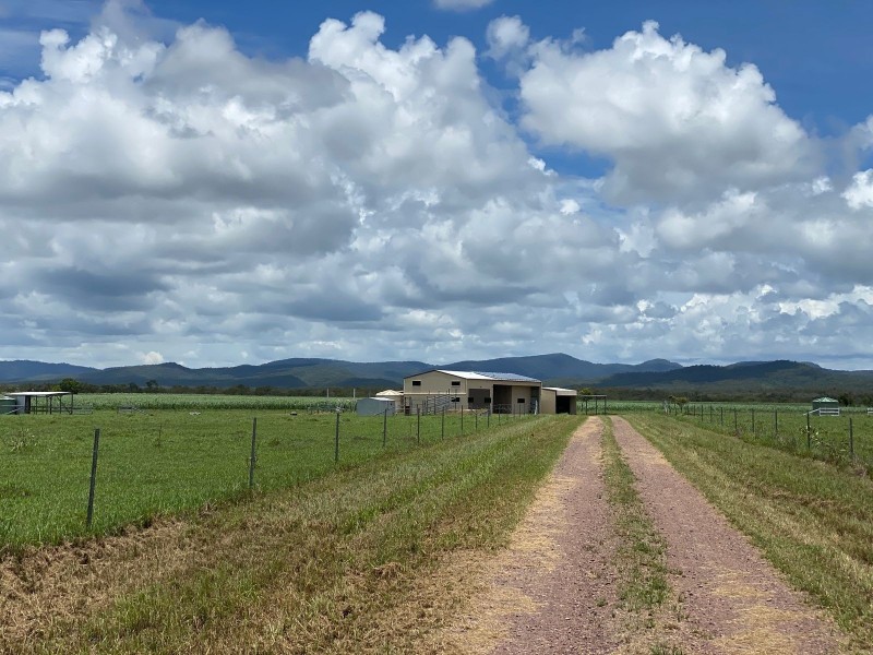 87133 Bruce Highway, Ilbilbie QLD 4738