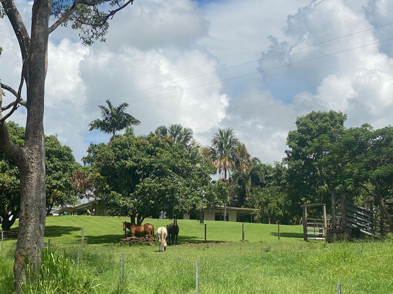 141 Venton Road, Sarina QLD 4737