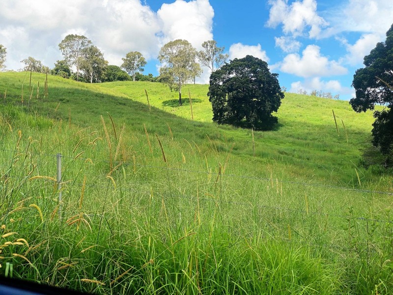 141 Venton Road, Sarina QLD 4737