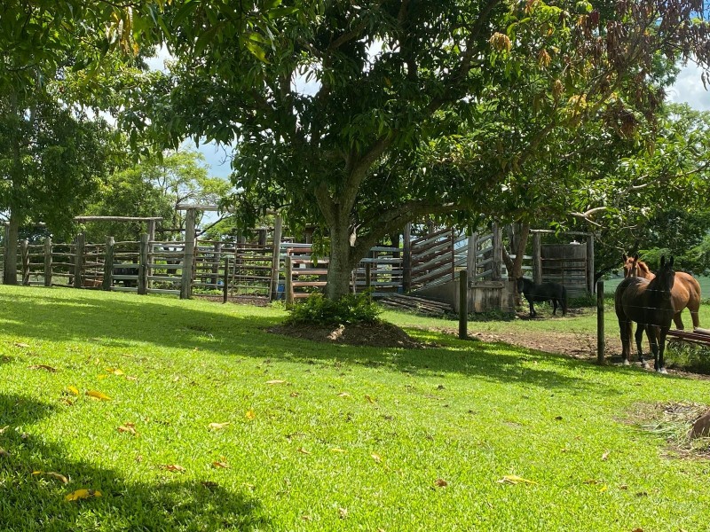 141 Venton Road, Sarina QLD 4737