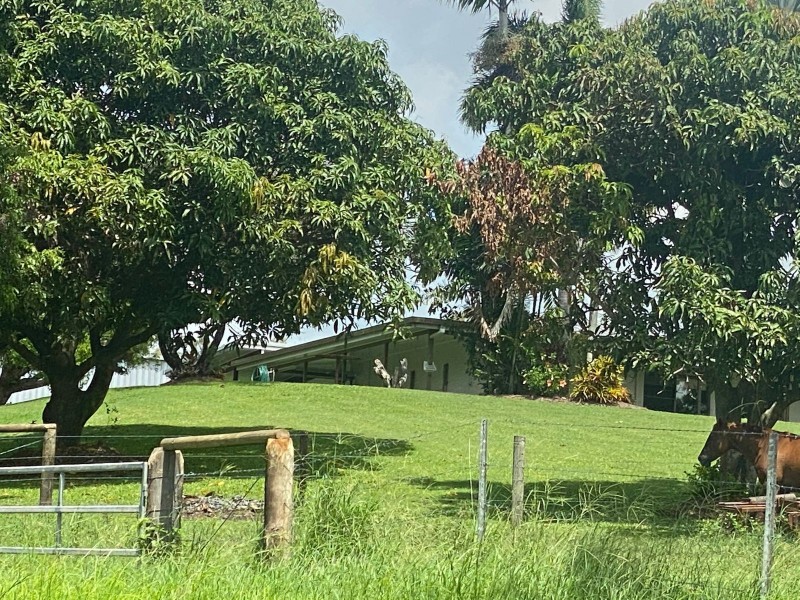 141 Venton Road, Sarina QLD 4737