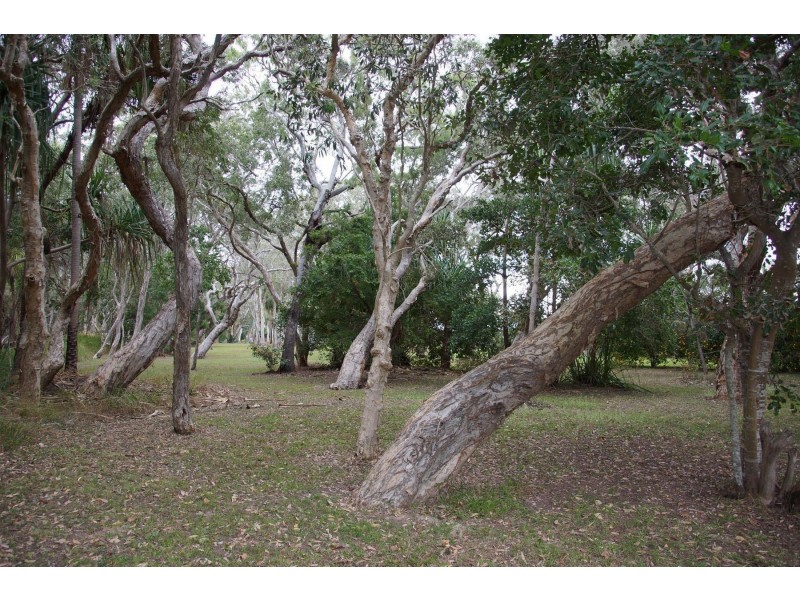 36 Wilson Road, Armstrong Beach QLD 4737