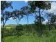 31 Utah Avenue, Sarina QLD 4737