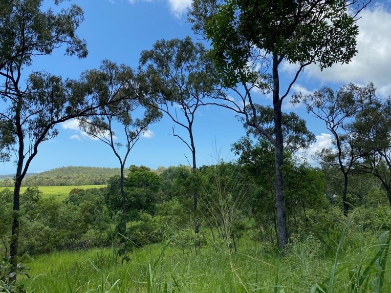 31 Utah Avenue, Sarina QLD 4737