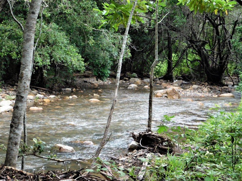 240 Sands Road, Koumala QLD 4738