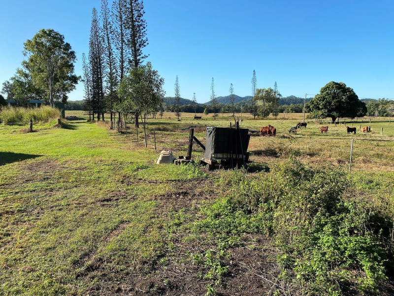 1687 Yakapari-Seaforth Road, Mount Jukes QLD 4740