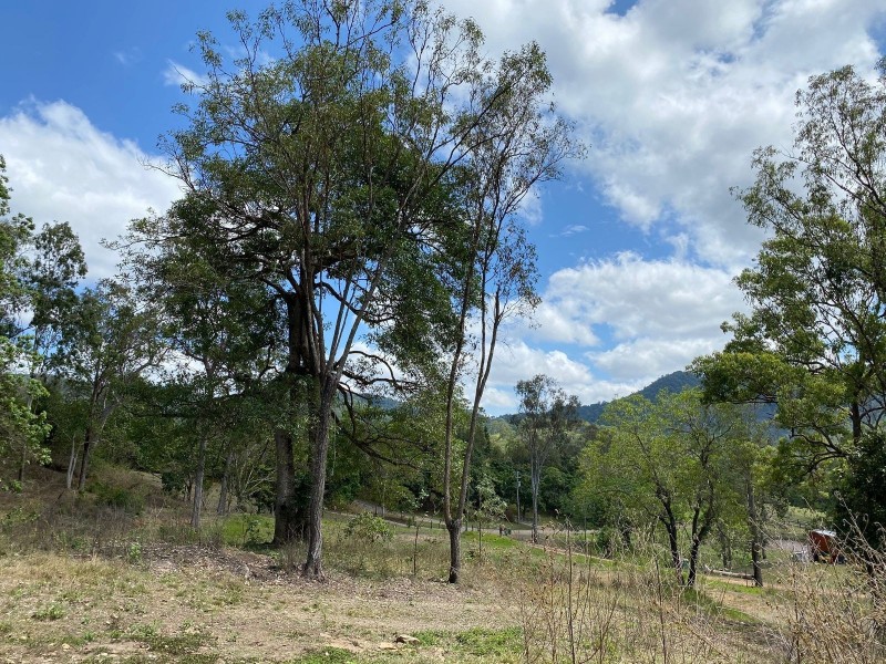 31 German Road, Sarina QLD 4737