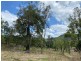 31 German Road, Sarina QLD 4737