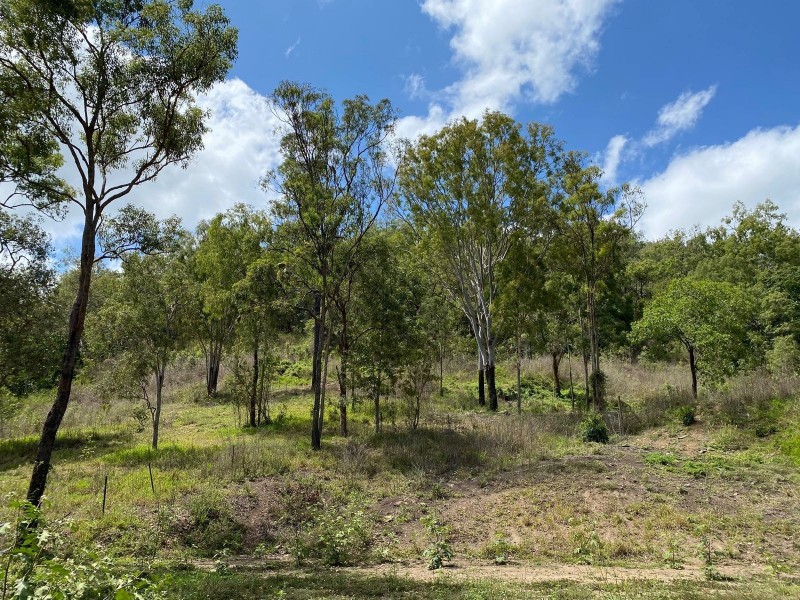 31 German Road, Sarina QLD 4737