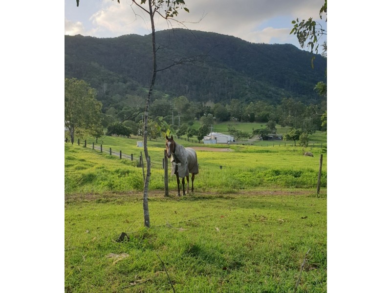 547 Middle Creek Road, Sarina QLD 4737