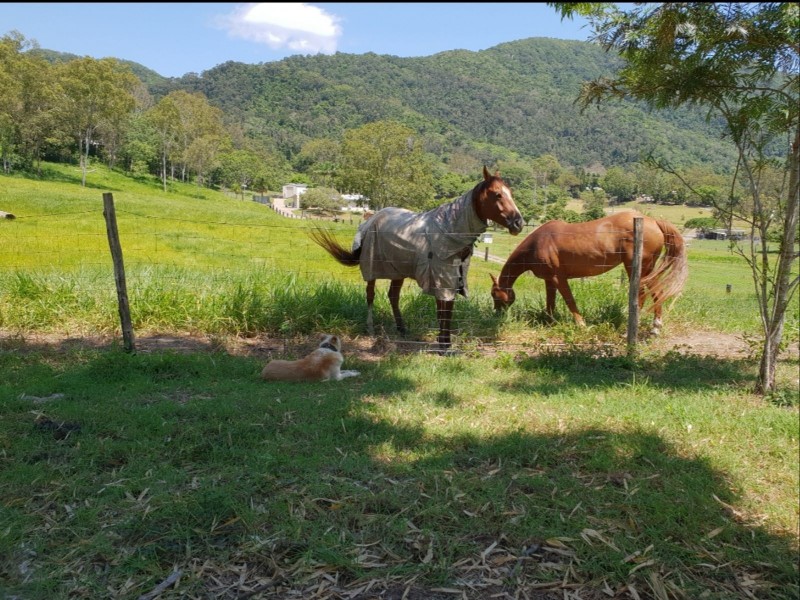 547 Middle Creek Road, Sarina QLD 4737