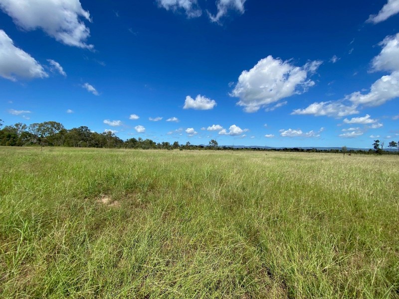 75 Nimmitabel Road, St Lawrence QLD 4707