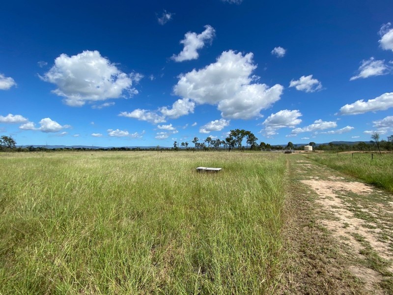 75 Nimmitabel Road, St Lawrence QLD 4707