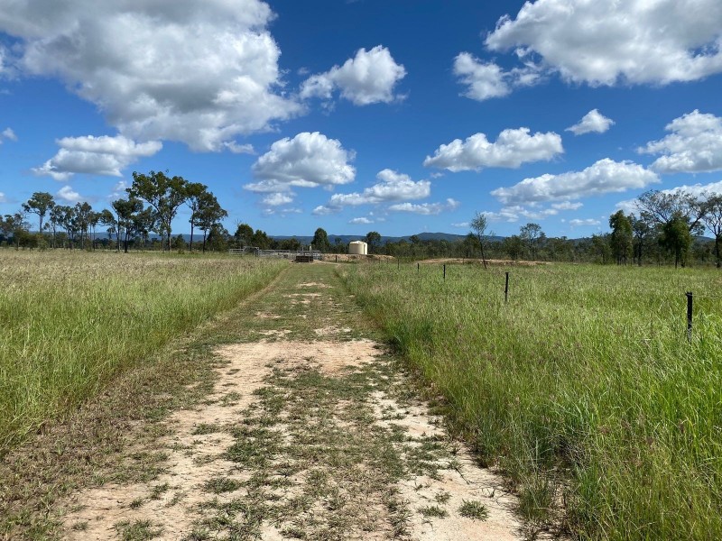 75 Nimmitabel Road, St Lawrence QLD 4707