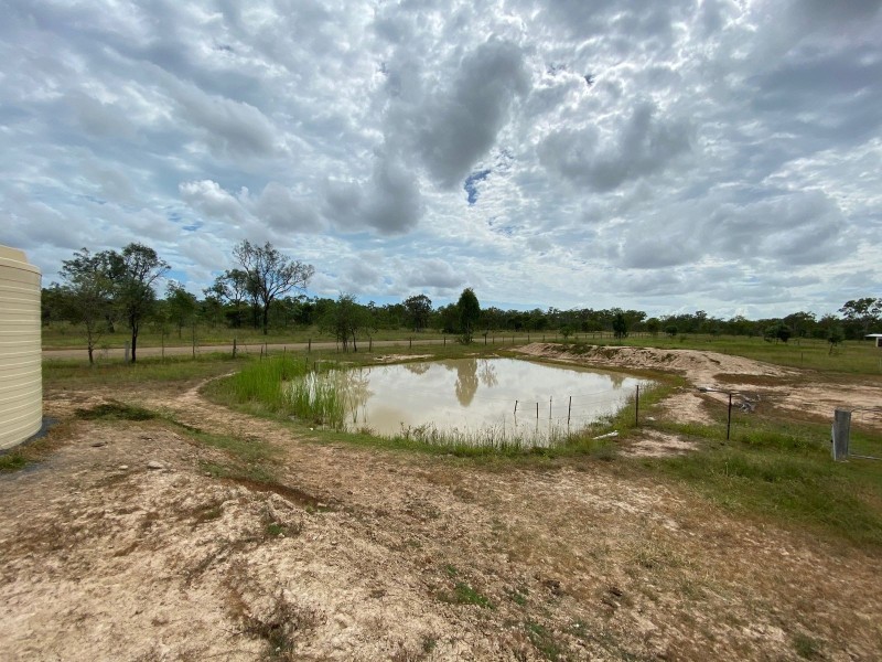 75 Nimmitabel Road, St Lawrence QLD 4707